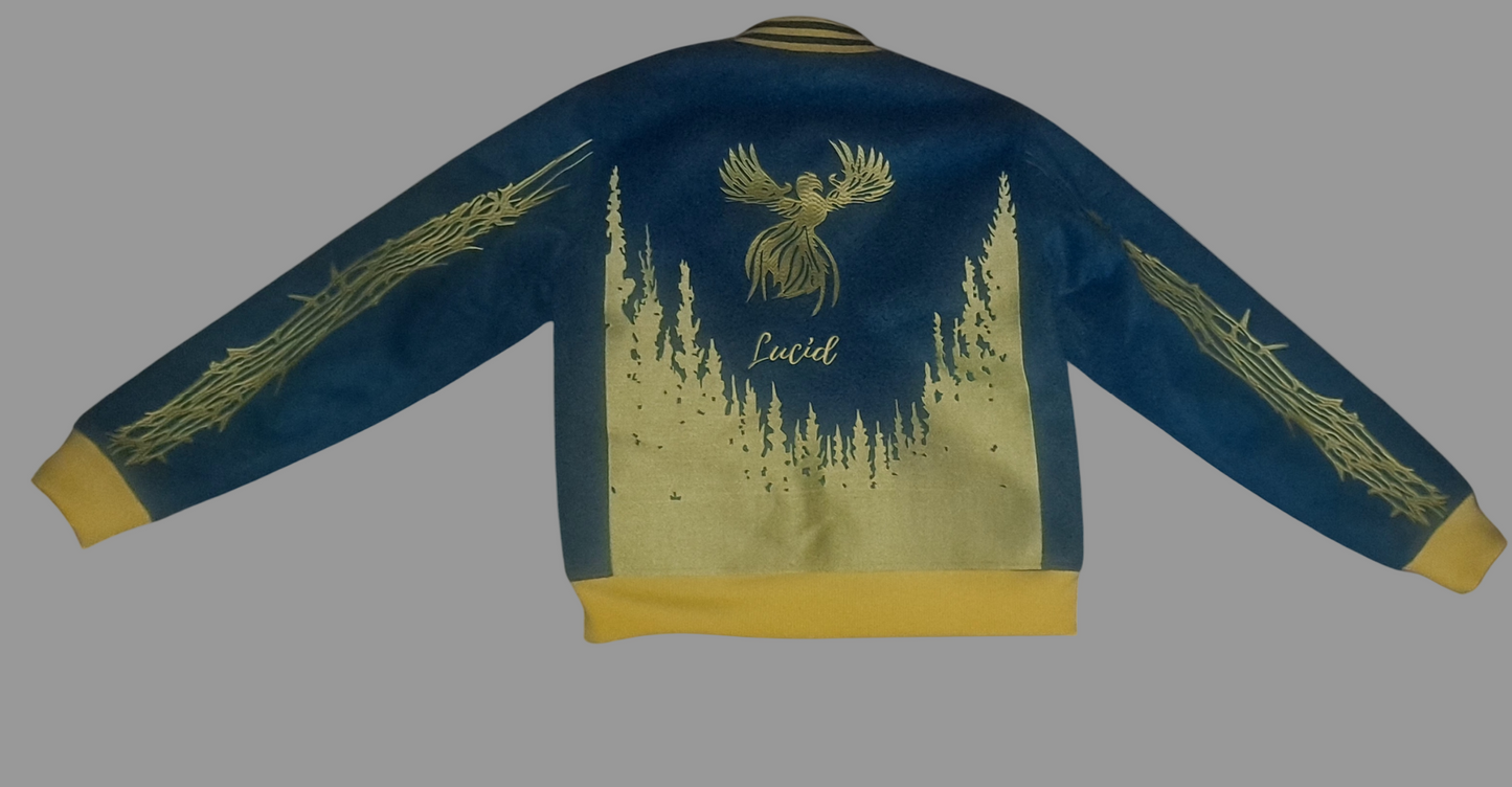 lucid varsity jacket blue and gold